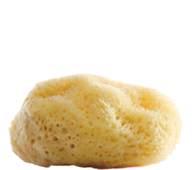 Marine Balance Natur Körperschwamm